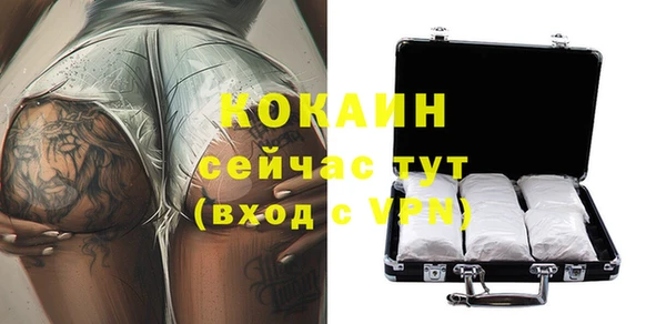 гидра Бородино