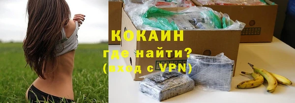 гидра Бородино