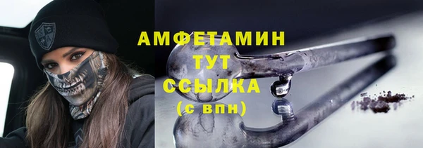 гидра Бородино