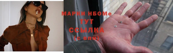гидра Бородино