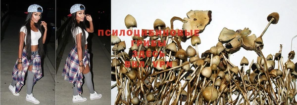 ECSTASY Сясьстрой