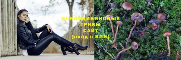 spice Бронницы