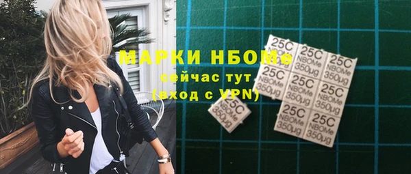 гидра Бородино